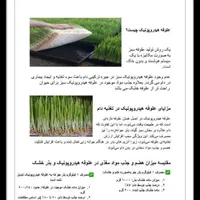 علوفه هیدروپونیک تازه گندم و جو|حیوانات مزرعه|نسیم‌شهر, |دیوار