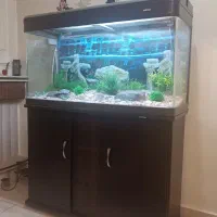 آکواریوم شیشه‌خم‌ ماهیران سری‌خارجی باهمه لوازم|ماهی|کرج, گلشهر|دیوار