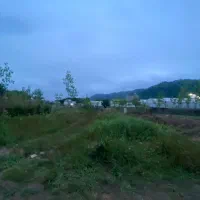 فروش-زمین-640-متری-در-لیالستان