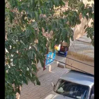 سوییت بسیار تمیز مناسب دورهمی|اجارهٔ کوتاه‌مدت آپارتمان و سوئیت|مشهد, پنجتن|دیوار