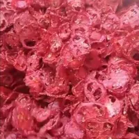 انواع سبزیجات و صیفی‌جات خشک|خوردنی و آشامیدنی|اصفهان, براآن شمالی|دیوار