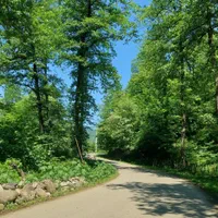 اجاره ویلا منطقه جنگلی و کوهستانی|اجارهٔ کوتاه‌مدت آپارتمان و سوئیت|بابلسر, |دیوار