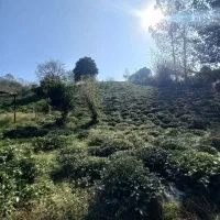 180-متر-زمین-مسکونی-کتشال-پایین-منطقه-ویلاسازی-شده