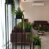 تولید رگال|فروشگاه و مغازه|ایوانکی, |دیوار