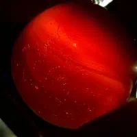 انگشتر عقیق یمنی|جواهرات|اسلام‌شهر, شهرک مفیدی|دیوار