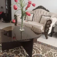 فروش میز جلومبلی در حد نو