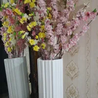 گلهای شکوفه های همراه با گلدان سرامیکی نو