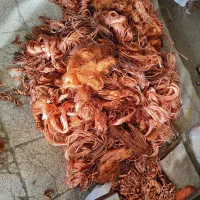 ضایعات مس و برنج|عمده‌فروشی|اصفهان, شهرک کوثر|دیوار