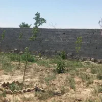 زمین فروشی و معاوضه