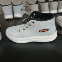 پخش کفش|کیف، کفش، کمربند|سنندج, |دیوار