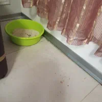 وسایل زندگی حیوون خانگی زیر قیمت|لوازم جانبی حیوانات|مشهد, امیریه|دیوار