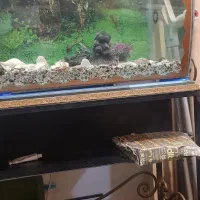 آکواریوم با زیری آهنی فرفوژه با امکانات کامل|ماهی|شهرکرد, |دیوار