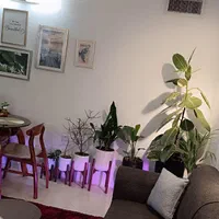 اجاره کوتاه مدت سوییت و آپارتمان مبله در هاشمیه|اجارهٔ کوتاهمدت آپارتمان و سوئیت|مشهد, کوثر|دیوار