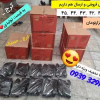 دستمال کاغذی|مواد شوینده و دستمال کاغذی|کرج, حصارک پایین|دیوار
