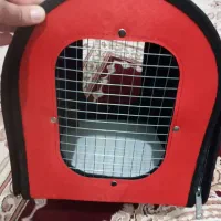 کیف مخصوص حمل پرنده