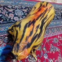 نی انبان|سازهای بادی|دوگنبدان, |دیوار