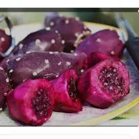 میوه کاکتوس به صورت عمده و خرده