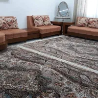 لوازم منزل|فرش|پردیس, فاز ۲|دیوار