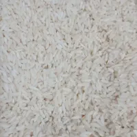 برنج علی کاظمی ۵۰ کیلو یجا بفروش میرسد