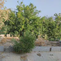 خونه گلباف|فروش خانه و ویلا|گلباف, |دیوار