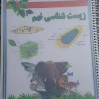 کتابهای پایه هشتم ونهم به دهم|کتاب و مجله آموزشی|شیراز, اصلاحنژاد|دیوار