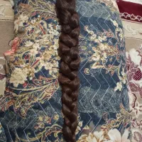 موی طبیعی خام رنگ خرمایی|آرایشی، بهداشتی، درمانی|شیراز, تندگویان|دیوار
