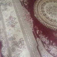 قالی۱۲متری