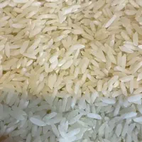 فروش ویژه برنج طارم هاشمی درجه یک