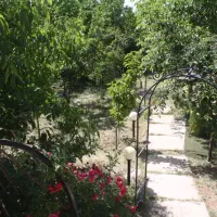 فروش زمین چهار دیواری ، کردان ، کوهسار