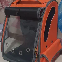 لوازم گربه
