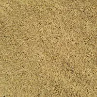 برنج چلتوک فجرتراب|خوردنی و آشامیدنی|دهدشت, |دیوار