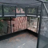 قفس بزرگ و محکم|لوازم جانبی حیوانات|قائم‌شهر, |دیوار