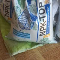 کود سفید بهاره