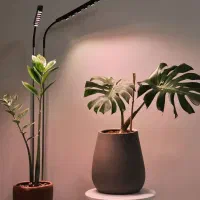 لامپ رشد گیاه   IKEA