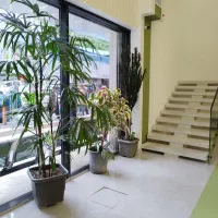 طراحی و اجرای فضای سبز