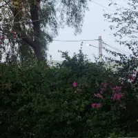 کلاس خصوصی