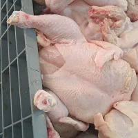 کارگرساده(فوری)