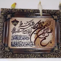 راهنمایی میکنم