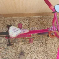 دوچرخه دخترانه|دوچرخه، اسکیت، اسکوتر|نسیم‌شهر, |دیوار