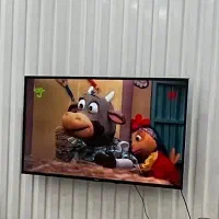 تلوزیون ۴۹اینچ