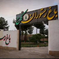 سالن دار و آشپز جهت کار در باغ رستوران کاج