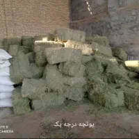 انواع خوراک دام|حیوانات مزرعه|امیدیه, |دیوار