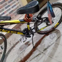 دوچرخه  ویوا