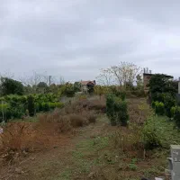 فروش زمین ۳۰۰ متری مسکونی منطقه سرولات|فروش زمین و ملک کلنگی|چابکسر, |دیوار