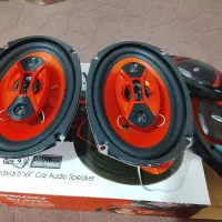 باند savoy