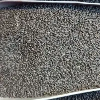 تخم شربتی اعلا|فعالیت داوطلبانه|فردیس, فردیس|دیوار