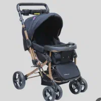 کالسکه و کریر دلیجان