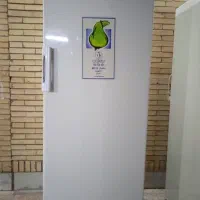 فروش یخچال و فریزر|یخچال و فریزر|شاهین‌شهر, شهرک گلدیس|دیوار