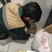 سمپاشی انواع حشرات سوسک،موش،ساس،موریانه یا ریشمیز)