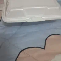 چندتا ظرف غذا وکاسه ی خورش تک نفره|ظروف نگهدارنده، پلاستیکی، یکبارمصرف|بیرجند, |دیوار